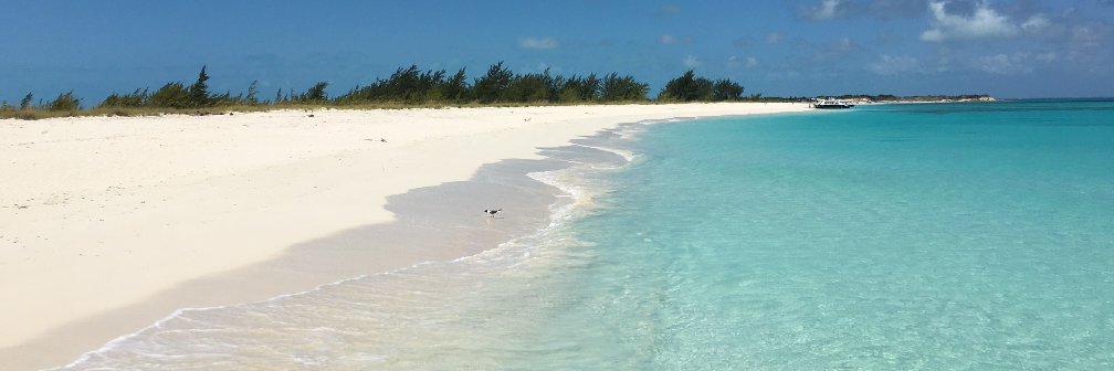 fscordato's profile banner image