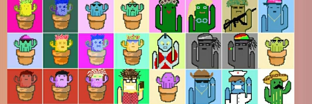 cactus_token's profile banner image