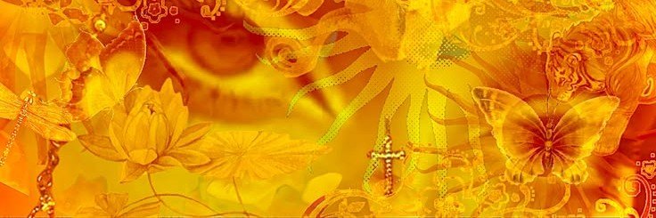 paradyes's profile banner image