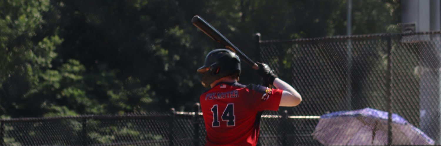 LPelmoter's profile banner image