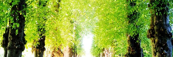 HyunkieChan's profile banner image