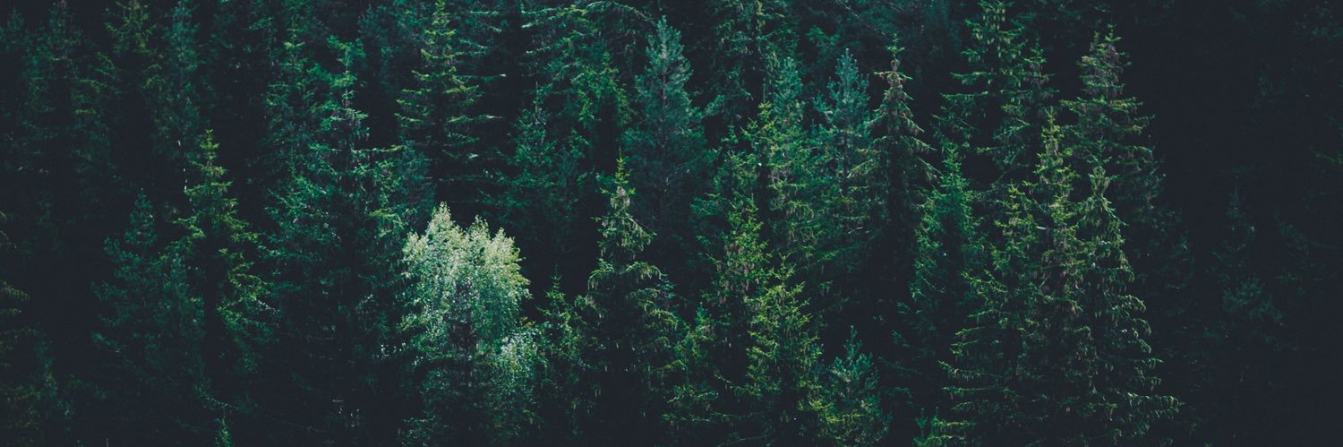 RobertCawthorne's profile banner image