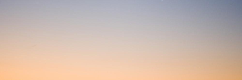 Sasha Samochina banner