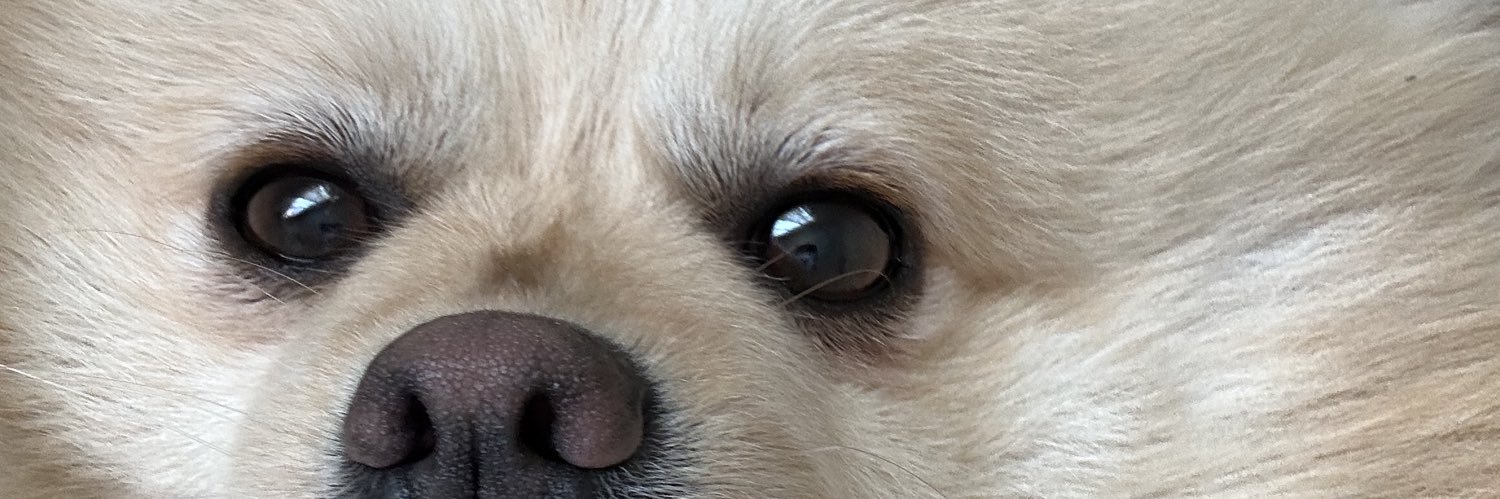 nay ᥫ᭡ banner
