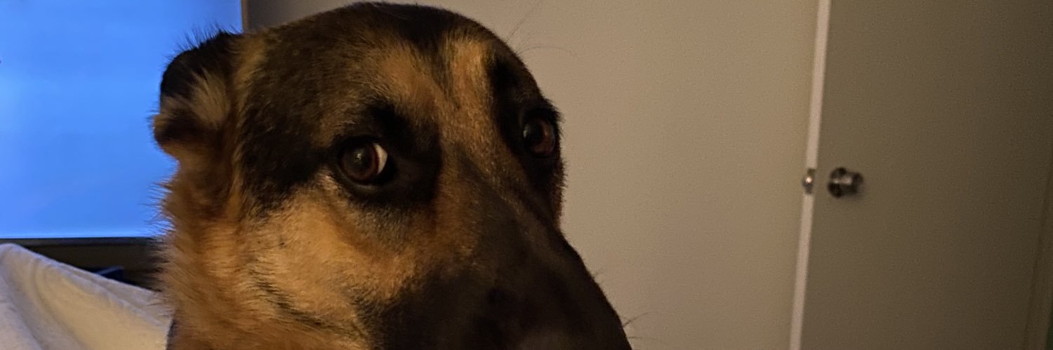 nftqueeze's profile banner image