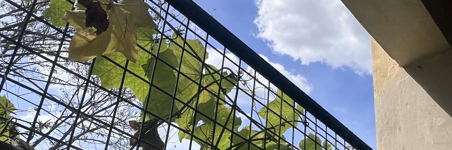 rustlover010 banner