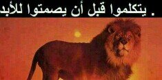 AAidros23's profile banner image