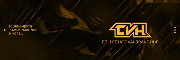 CollegeVALHub Profile Banner