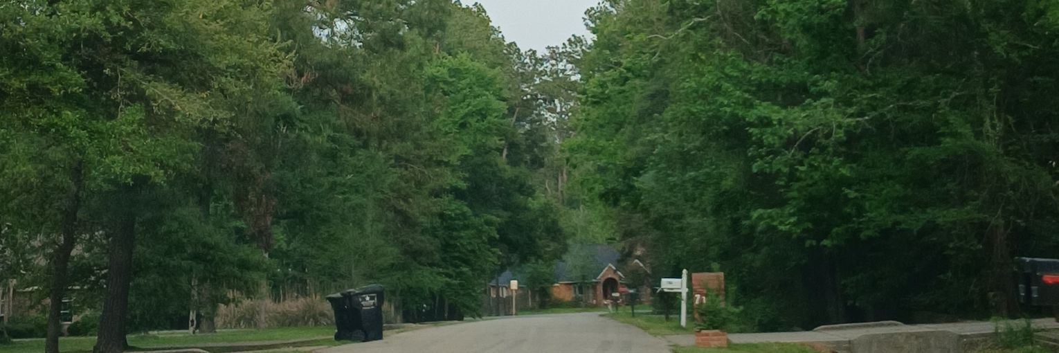 DanielFuentesCantú banner