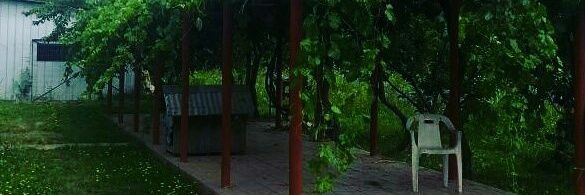 ManosChilotas banner