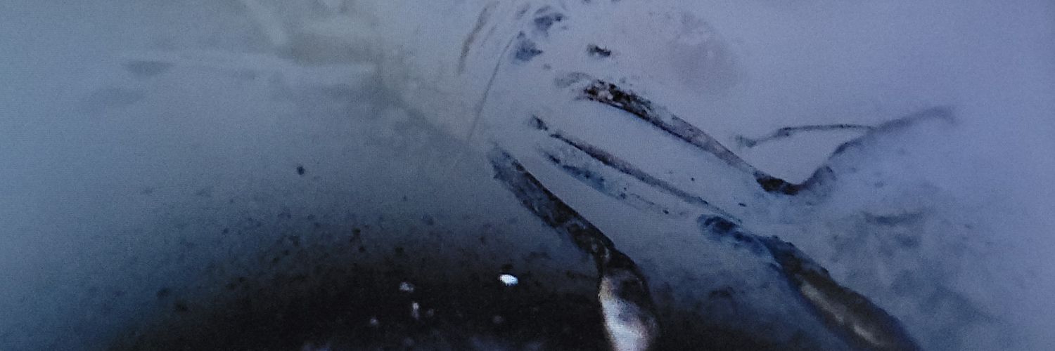 vieve la foes 🇵🇸🍉🇨🇩🇨🇦 banner