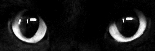 LagrimaDeColor's profile banner image