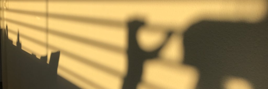 Christian Glahn banner