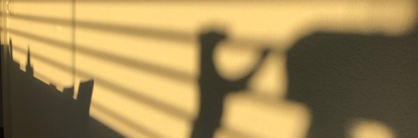 phish108 Profile Banner