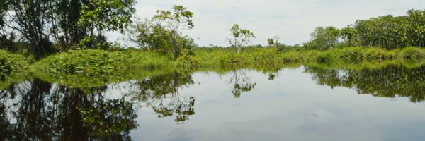 WWF_RDCongo Profile Banner