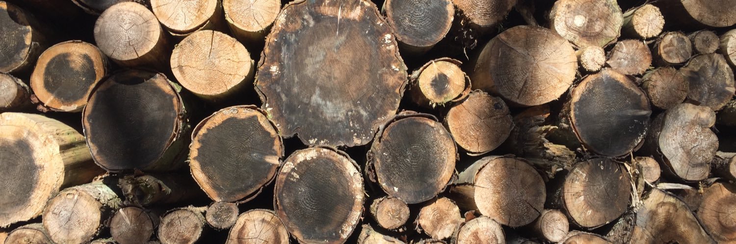 finn pedersen banner