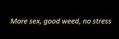 sonder banner
