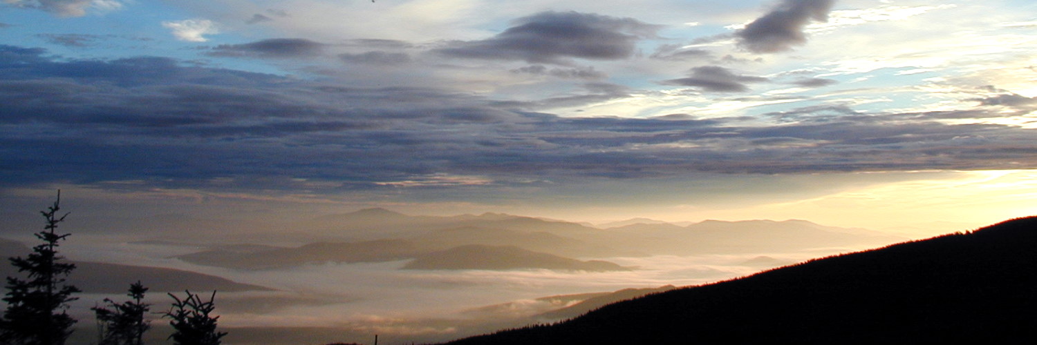 Kevin Johnson banner