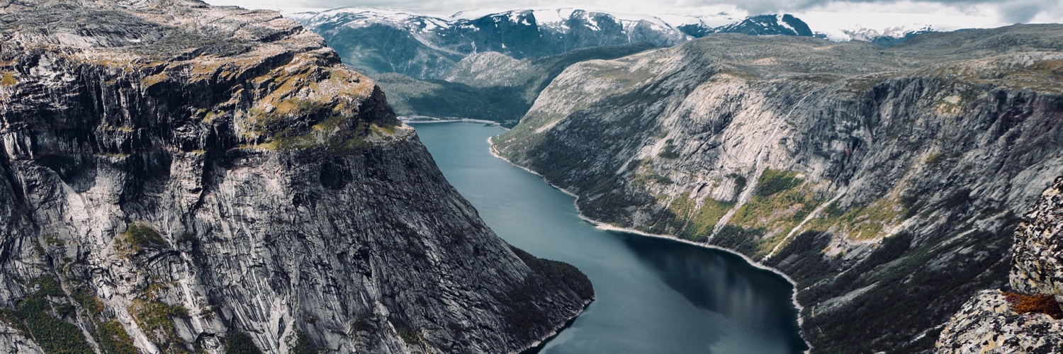 Oskar Schwarz banner