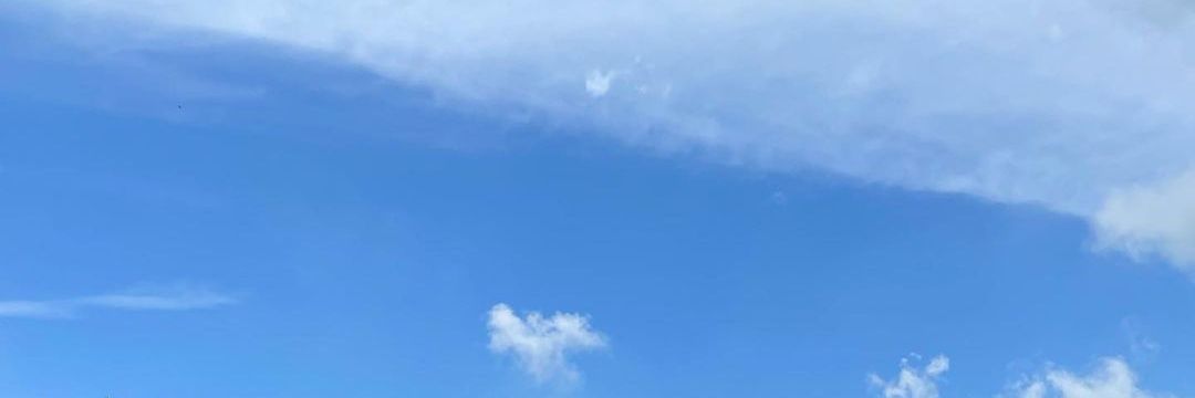 🐣 || banner