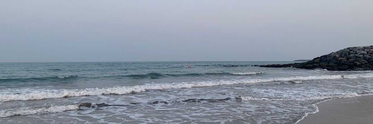 ana banner