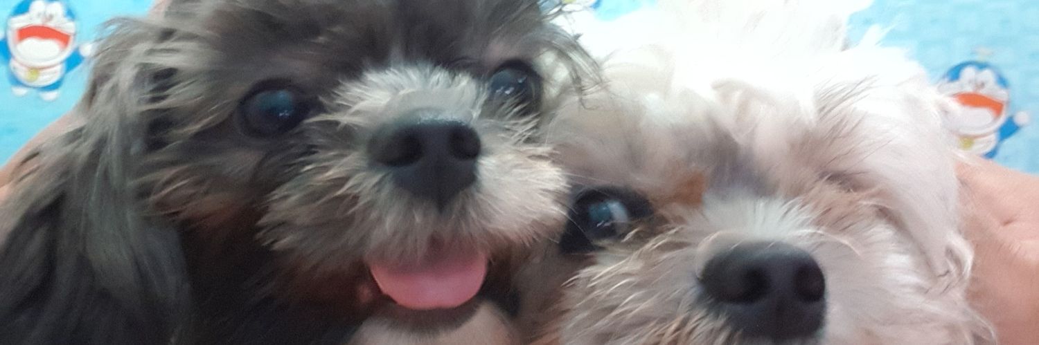 HeeRaPark25's profile banner image
