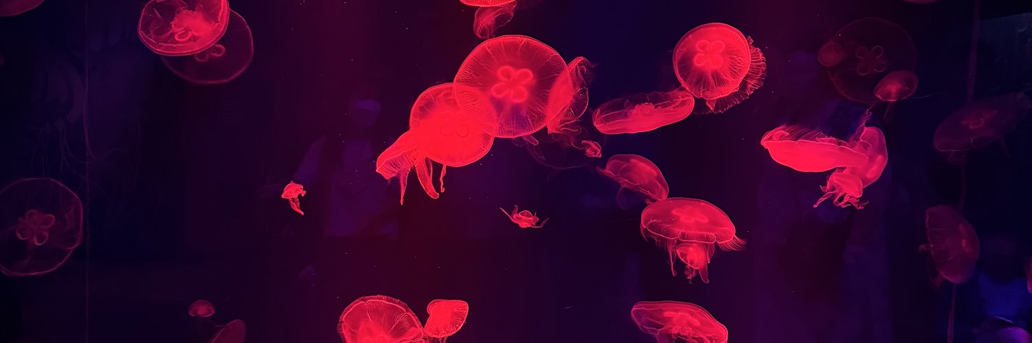 ταο ☯️🆔 banner