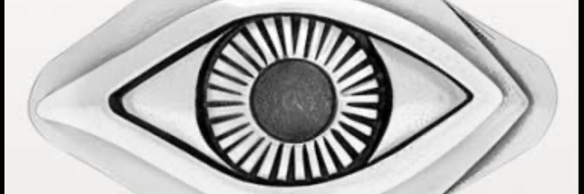 Fernanda banner