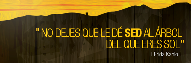 menendezf's profile banner image