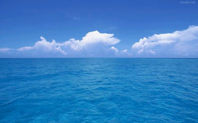 ecvim's profile banner image