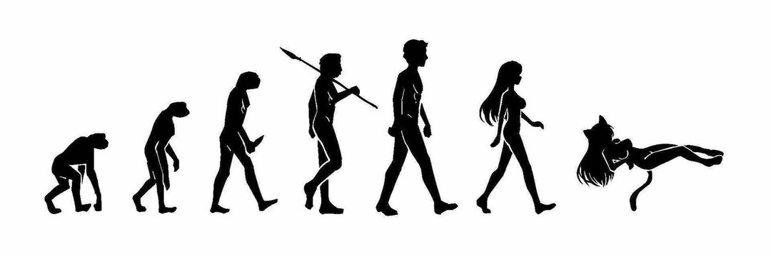 Han5tar⭐️ banner