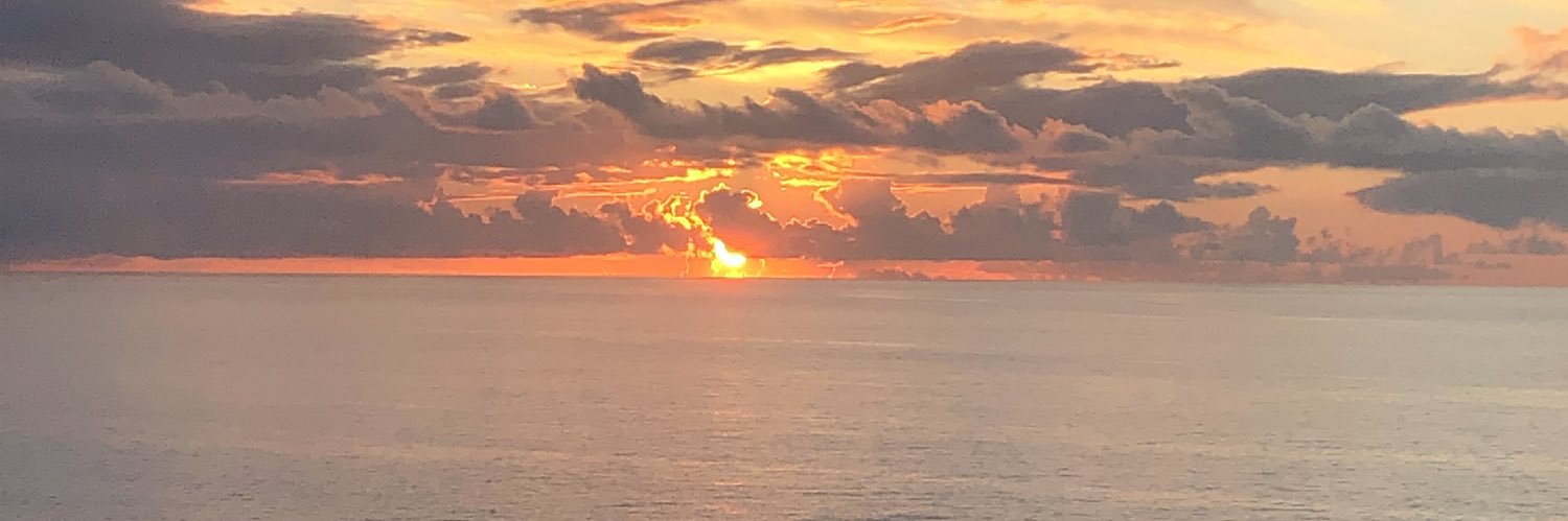 BeauregardRoux's profile banner image