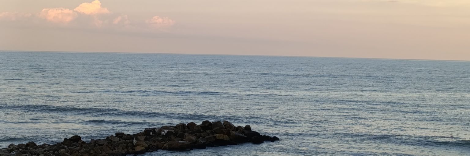 ccamigomez_'s profile banner image