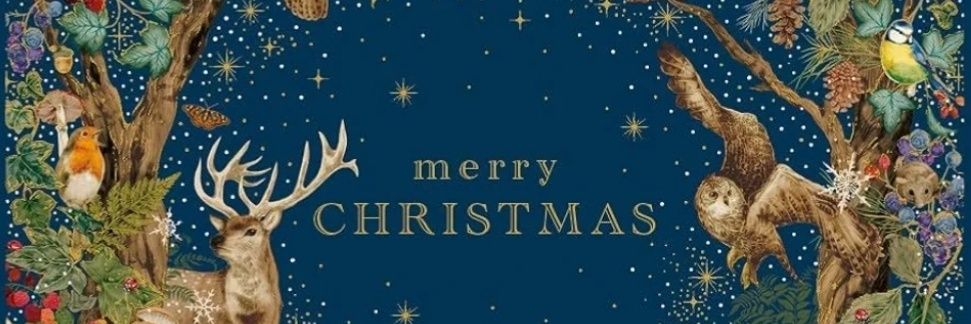 June Jeffreys banner