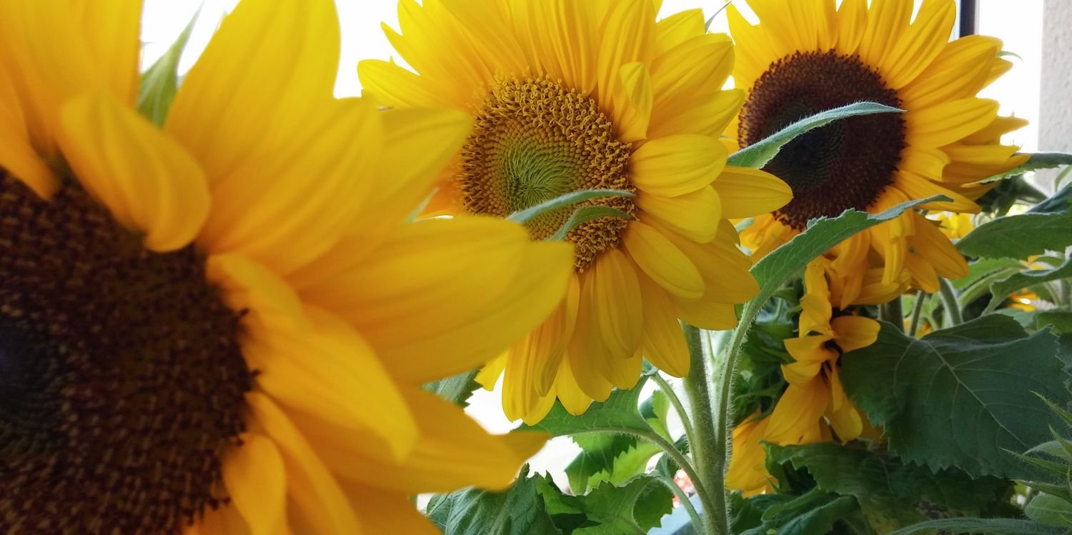 joanne82190's profile banner image