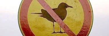 Vilela's banner