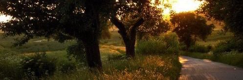 💫 banner