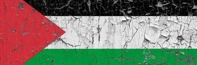 Flagged for Content banner