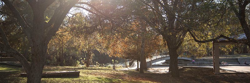 TXST COSE Advising banner