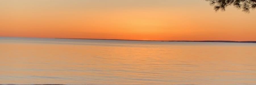 tiffranieri's profile banner image
