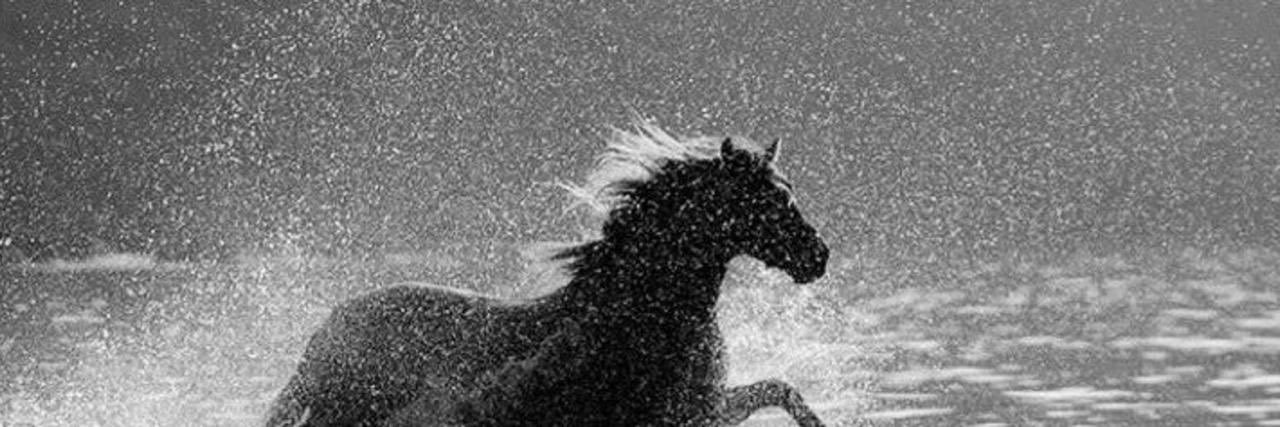 MZaGy33's profile banner image