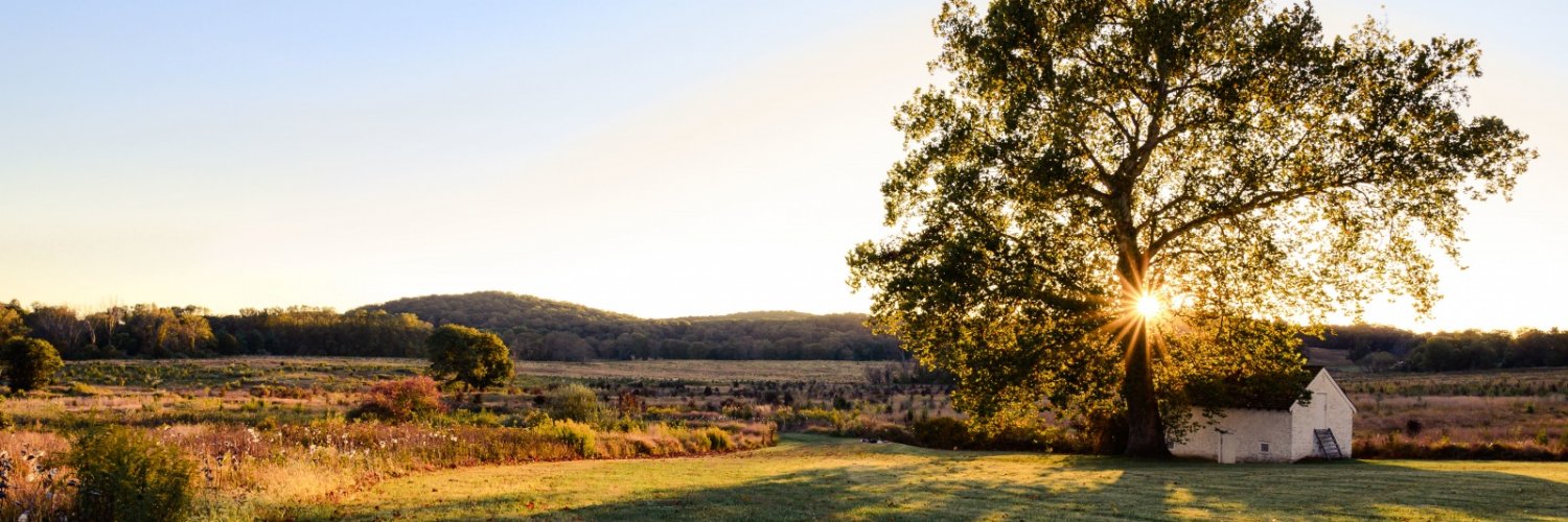 sharonklentz's profile banner image