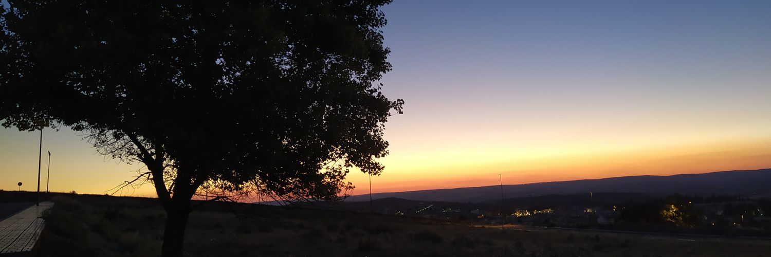 alroso1's profile banner image