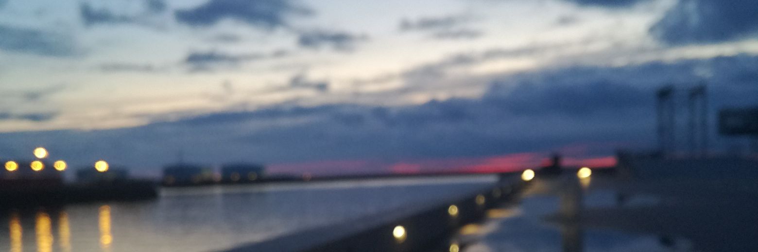 ElisaMourier's profile banner image