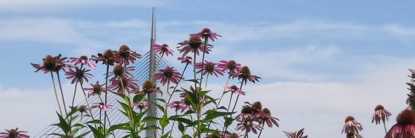 SMB067 Profile Banner