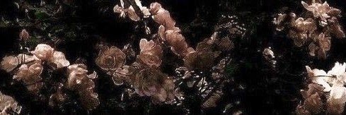 Barfcode's profile banner image