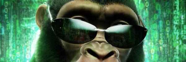 stevenwellens Profile Banner