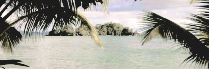 NEUR0G0DDESS's profile banner image