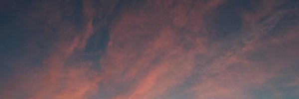 Fireburner Profile Banner