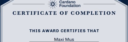 NYAN🔫😼MaxiMus💸 banner